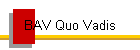 BAV Quo Vadis